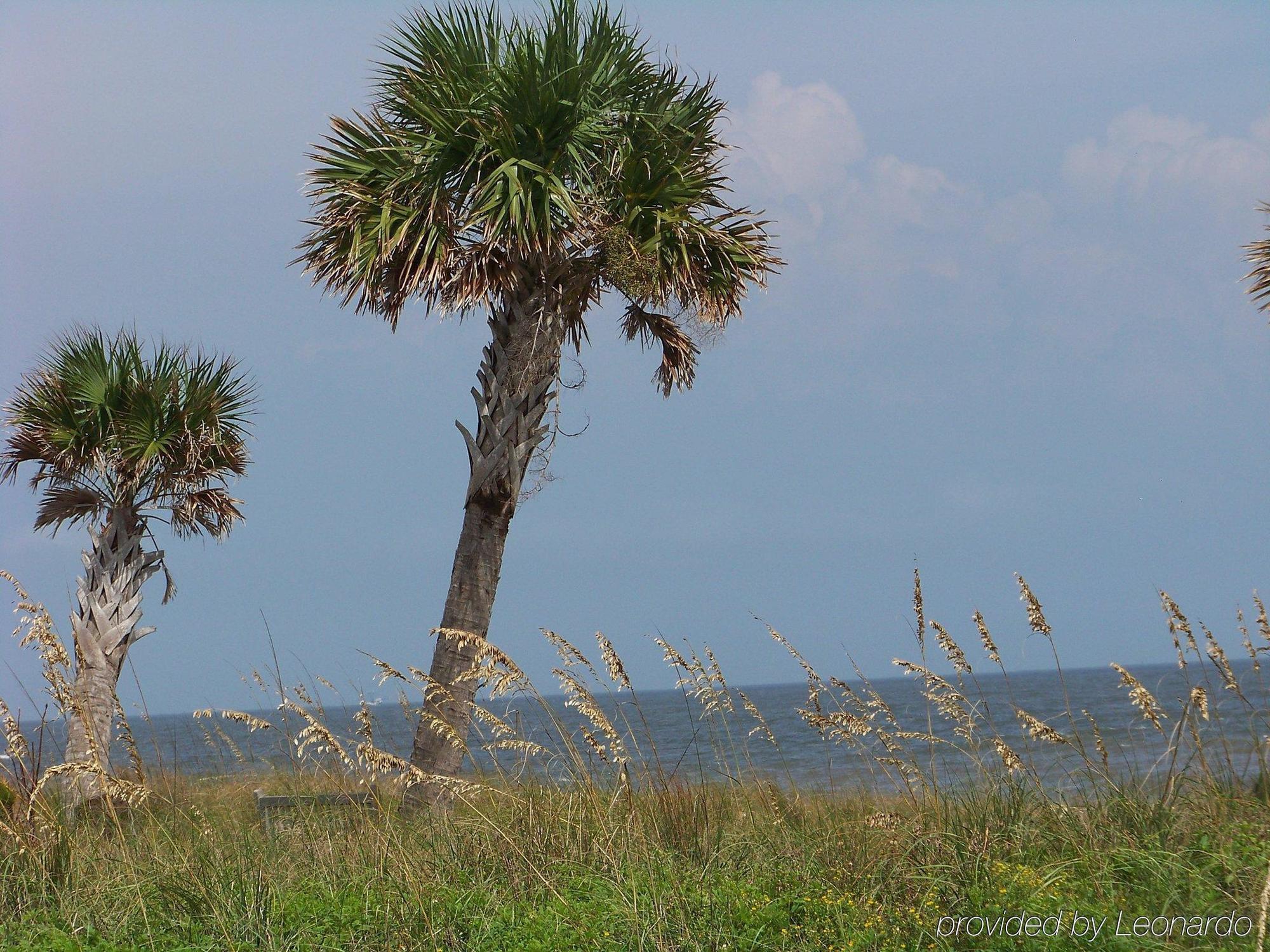 圣西蒙斯岛智选假日酒店 St. Simons Island 外观 照片